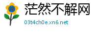 茫然不解网